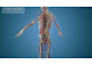 create 3d medical animation spine cord anatomy surgical procedure explainer